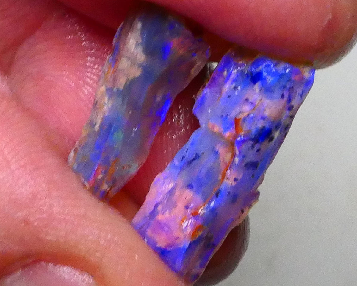 Lightning Ridge opalised woods fossil rough 7.25cts lots of blues colours to gamble 20x8x6mm to 17x7x4mm  Lot B4-A622
