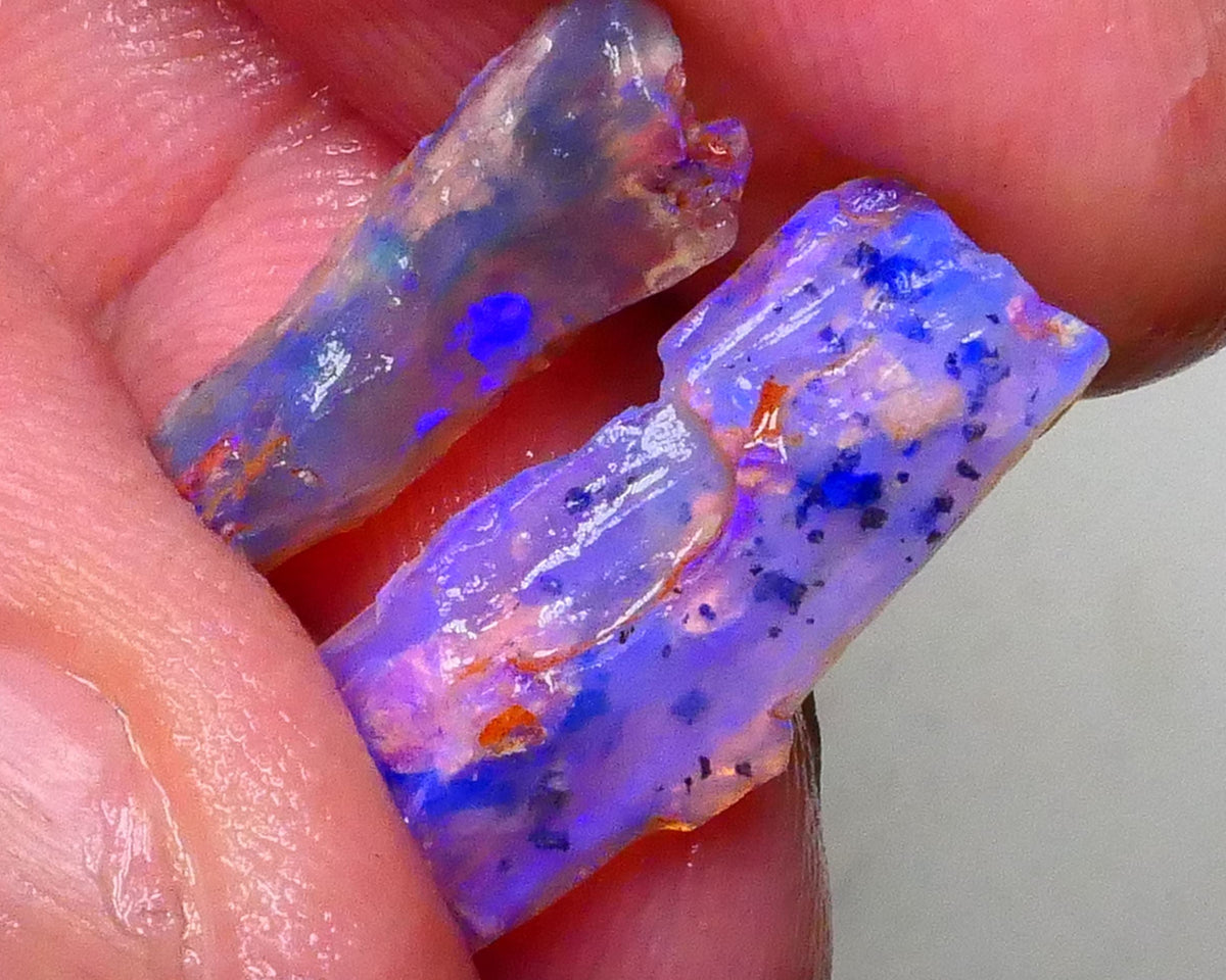 Lightning Ridge opalised woods fossil rough 7.25cts lots of blues colours to gamble 20x8x6mm to 17x7x4mm  Lot B4-A622