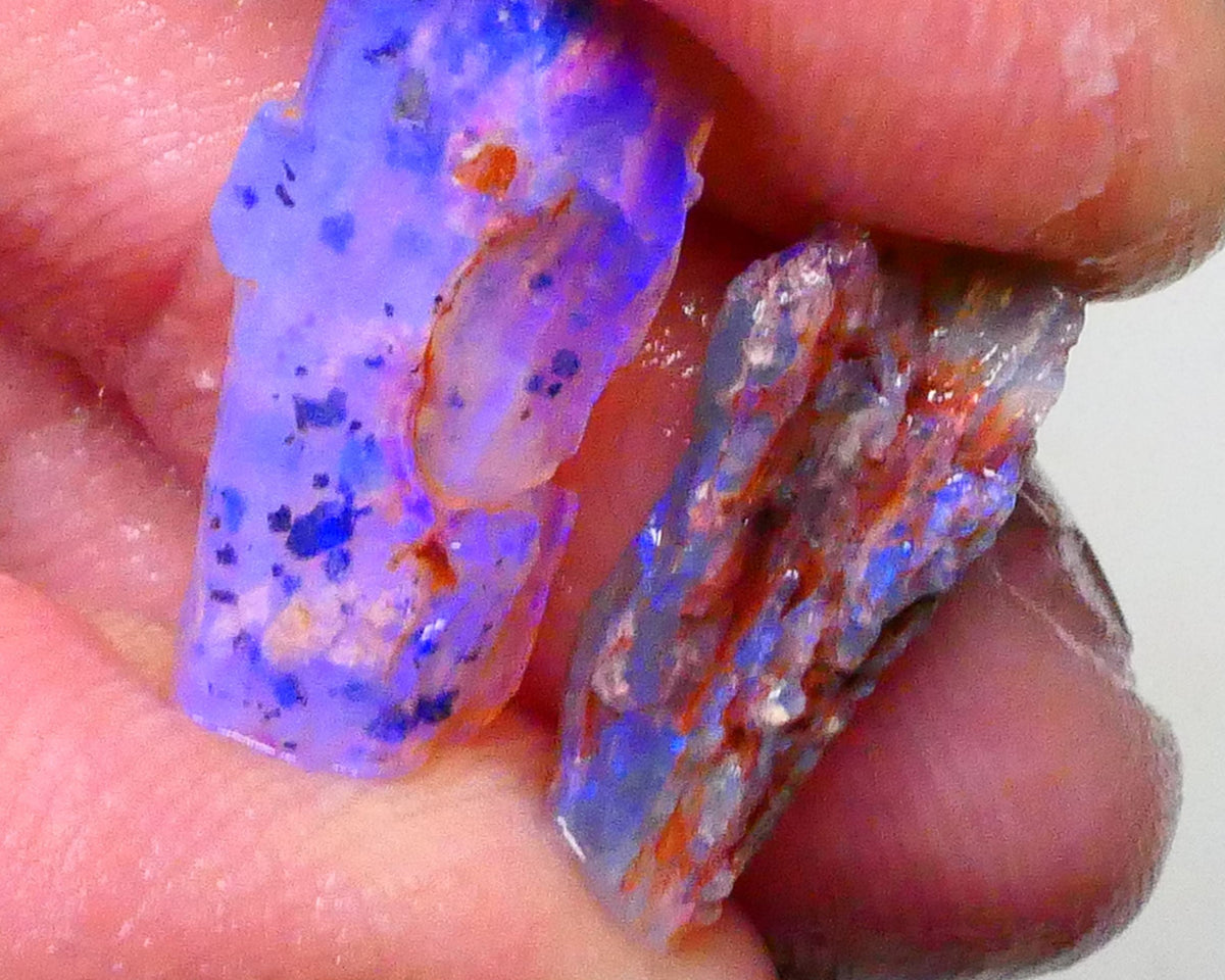 Lightning Ridge opalised woods fossil rough 7.25cts lots of blues colours to gamble 20x8x6mm to 17x7x4mm  Lot B4-A622