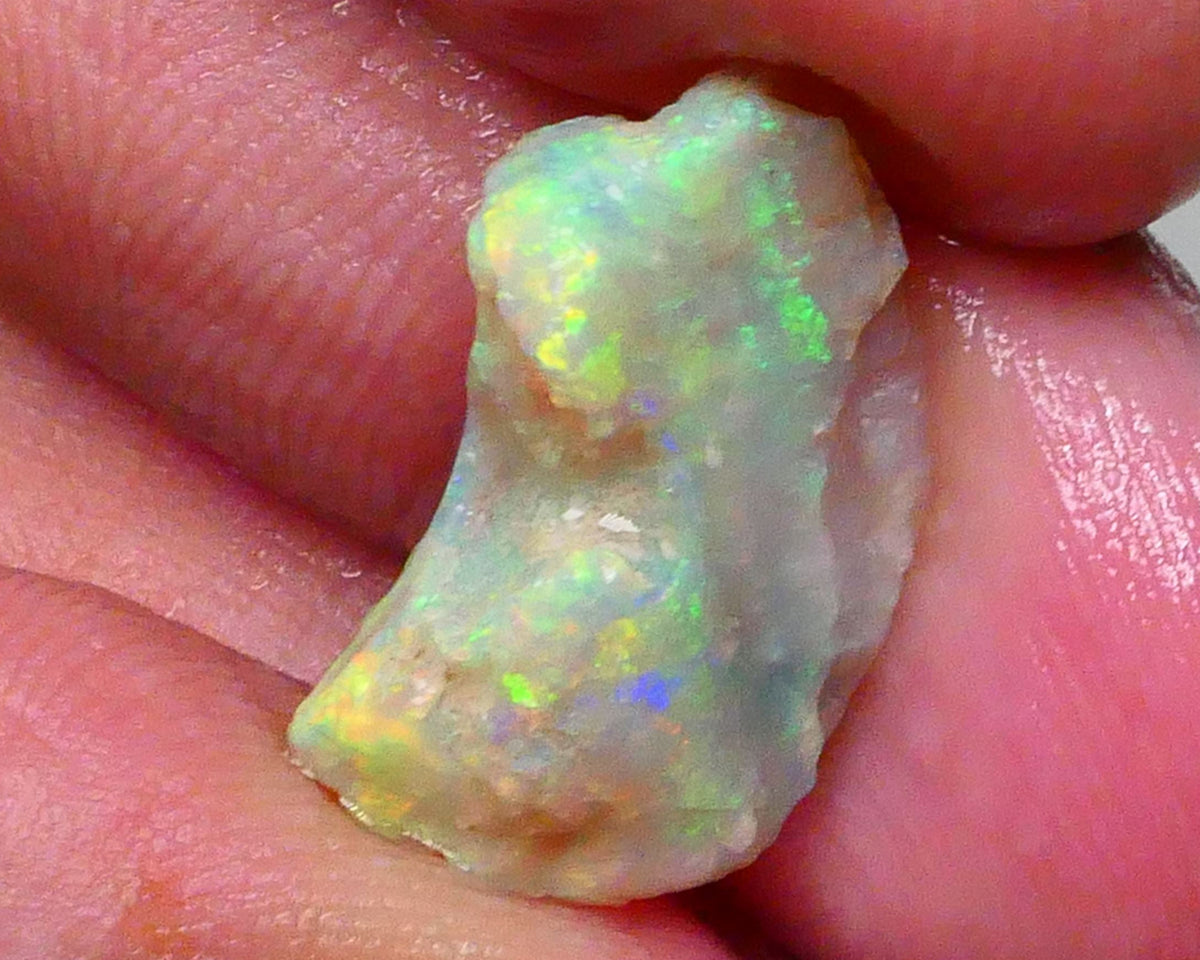 Bright Yellow dominant Multicolour Cutters knobby/fossil opal rough 5.25cts Lightning Ridge Material with Nice oranges as well 20x11x6mm  Lot B4-A704