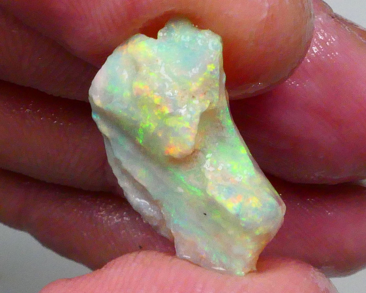 Bright Yellow dominant Multicolour Cutters knobby/fossil opal rough 5.25cts Lightning Ridge Material with Nice oranges as well 20x11x6mm  Lot B4-A704