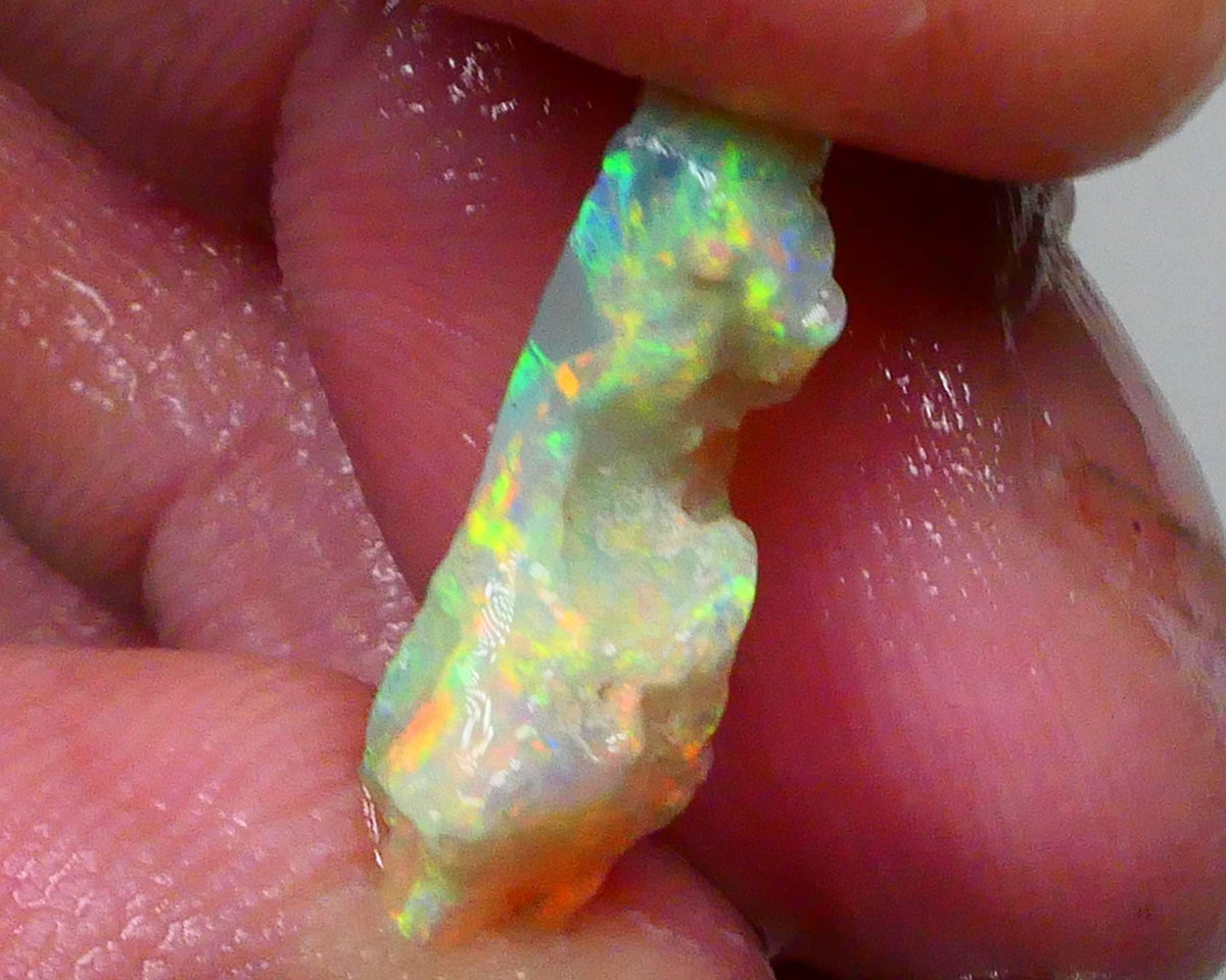 Bright Yellow dominant Multicolour Cutters knobby/fossil opal rough 5.25cts Lightning Ridge Material with Nice oranges as well 20x11x6mm  Lot B4-A704