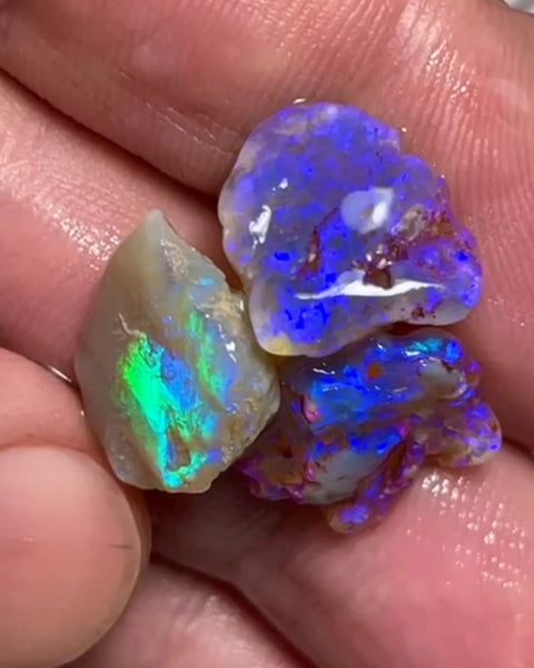 Bid-4.com Bid for Australian opal £1 No Reserve Auctions 13.25cts 24x12x4 to 13x12x3 mm Lot B4-A820