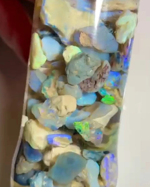 Lightning Ridge 255.00cts 18x11x5 to 12x6x5 mm Bid-4.com Bid for Australian opal raw/rough/rubbed/polished £1 No Reserve Auctions Details to come Lot B4-A856