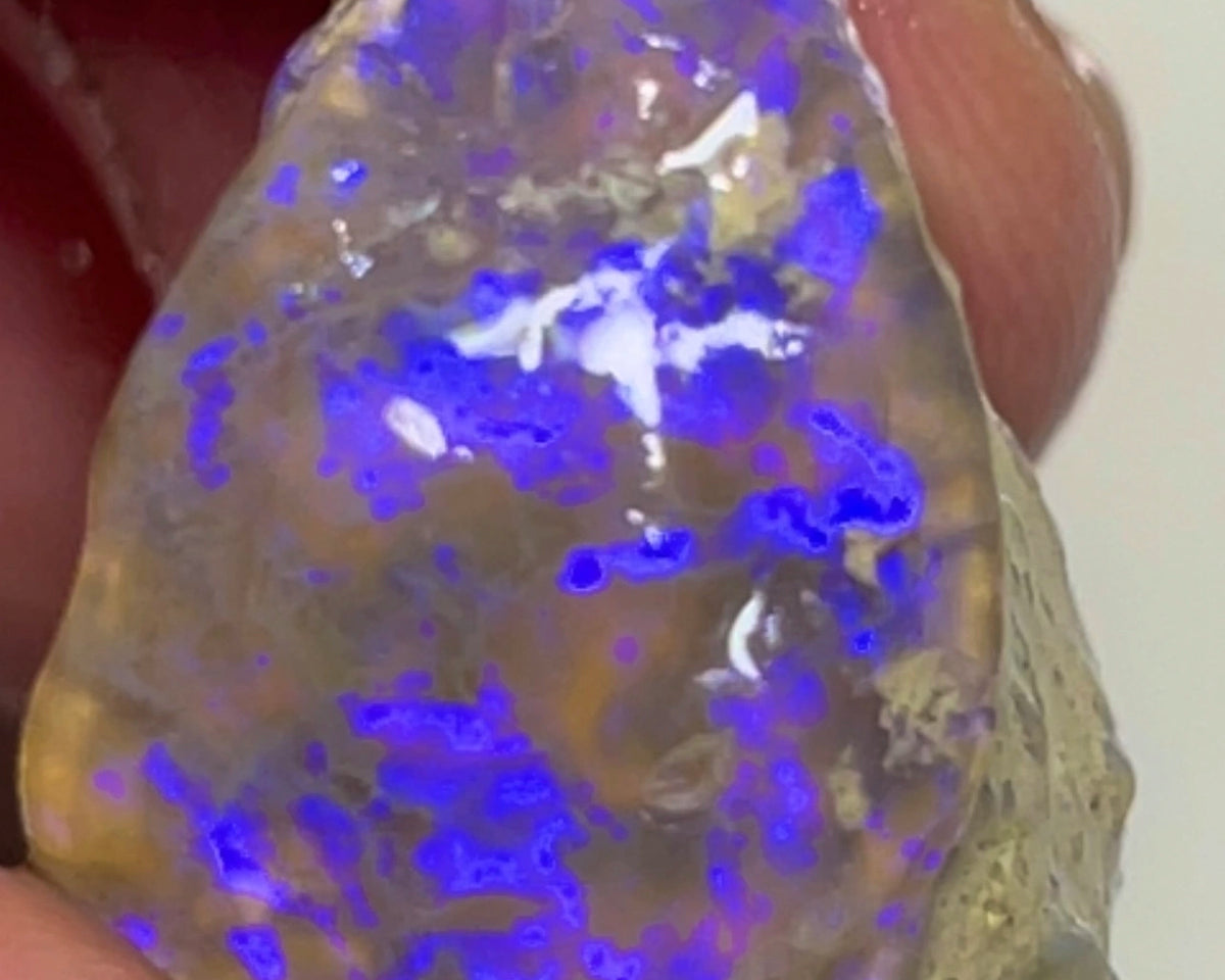 Bid-4.com Bid for Australian opal £1 No Reserve Auction Lightning Ridge 38.75cts  23.00x 22.00x 14.00mm Lot B4-A831
