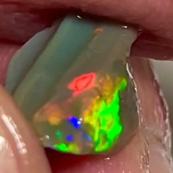 Bid-4.com Bid for Australian opal £1 No Reserve Auctions Details to come Lot B4-A808