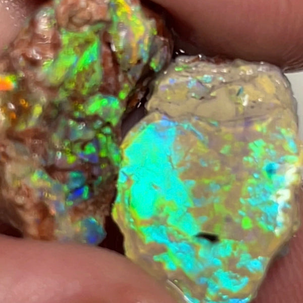 Lightning Ridge Gorgeous Knobby formation pair 17.25cts Rough opal Stunning Bright colours 20x10x9mm & 20x12x4mm    Lot B4-A119