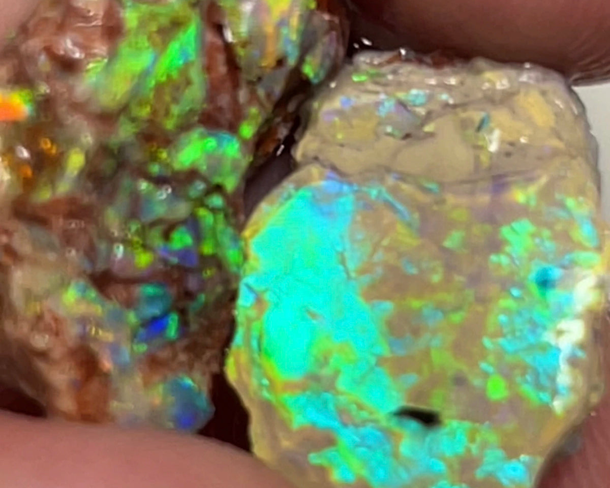 Lightning Ridge Gorgeous Knobby formation pair 17.25cts Rough opal Stunning Bright colours 20x10x9mm & 20x12x4mm    Lot B4-A119