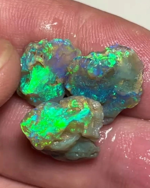 Lightning Ridge 17.75cts 15x12x8 to 14x14x4 mm Bid-4.com Bid for Australian opal raw/rough/rubbed/polished £1 No Reserve Auctions Details to come Lot B4-A855