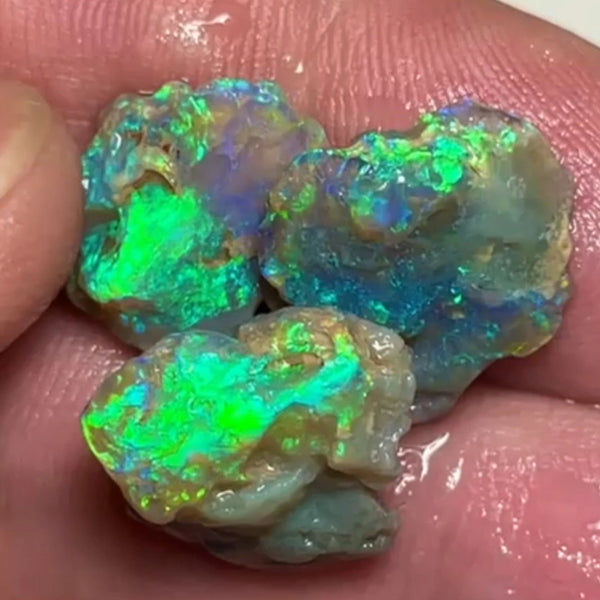Lightning Ridge 17.75cts 15x12x8 to 14x14x4 mm Bid-4.com Bid for Australian opal raw/rough/rubbed/polished £1 No Reserve Auctions Details to come Lot B4-A855