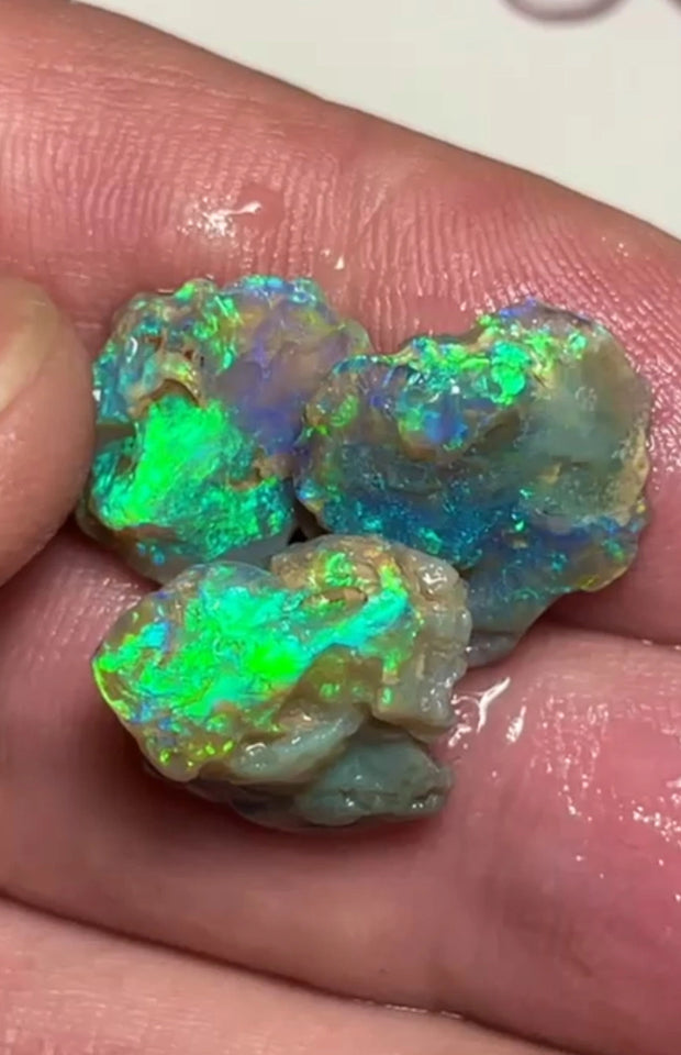 Lightning Ridge 17.75cts 15x12x8 to 14x14x4 mm Bid-4.com Bid for Australian opal raw/rough/rubbed/polished £1 No Reserve Auctions Details to come Lot B4-A855