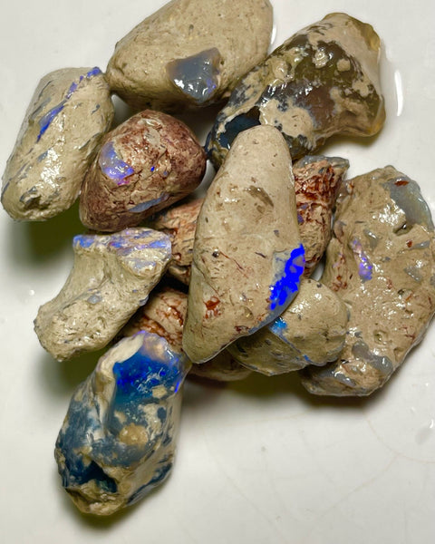 Lightning Ridge 299.00cts 30x17x13 to 18x12x9 mm Bid-4.com Bid for Australian opal raw/rough/rubbed/polished £1 No Reserve Auctions Details to come Lot B4-A869
