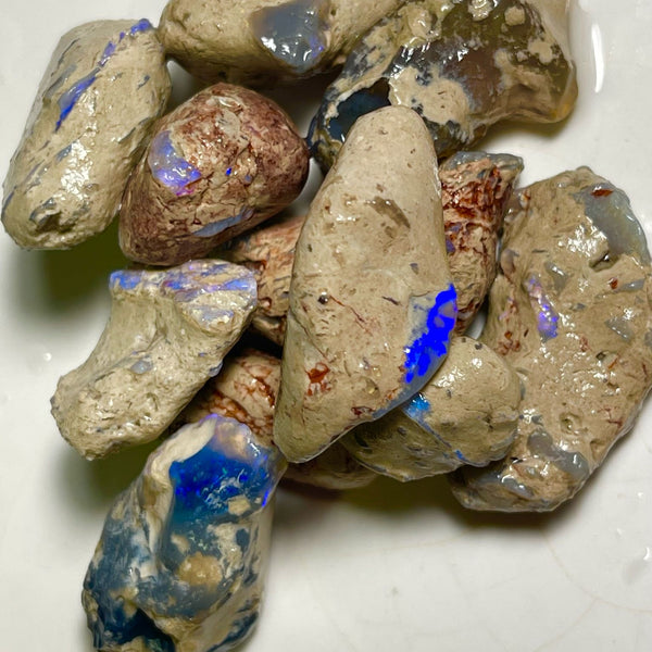 Lightning Ridge 299.00cts 30x17x13 to 18x12x9 mm Bid-4.com Bid for Australian opal raw/rough/rubbed/polished £1 No Reserve Auctions Details to come Lot B4-A869