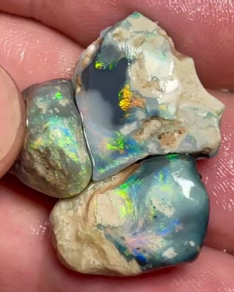 Lightning Ridge rub/rough 30.75cts 22x15x9mm to 14x13x7 mm Bid-4.com Bid for Australian opal raw/rough/rubbed/polished £1 No Reserve Auctions Details to come Lot B4-A868