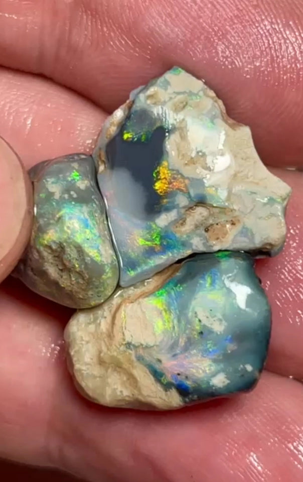 Lightning Ridge rub/rough 30.75cts 22x15x9mm to 14x13x7 mm Bid-4.com Bid for Australian opal raw/rough/rubbed/polished £1 No Reserve Auctions Details to come Lot B4-A868