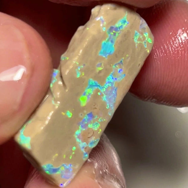 Lightning Ridge Opal formation rough slice 11.90cts Bright Multicolours scattered through out 28x10x4mm Lot B4-A151