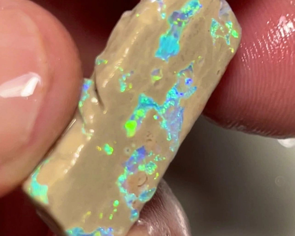 Lightning Ridge Opal formation rough slice 11.90cts Bright Multicolours scattered through out 28x10x4mm Lot B4-A151