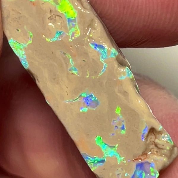 Lightning Ridge Opal formation rough slice 11.90cts Bright Multicolours scattered through out 28x10x4mm Lot B4-A151