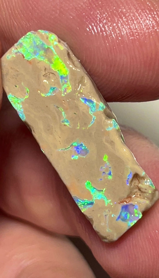 Lightning Ridge Opal formation rough slice 11.90cts Bright Multicolours scattered through out 28x10x4mm Lot B4-A151