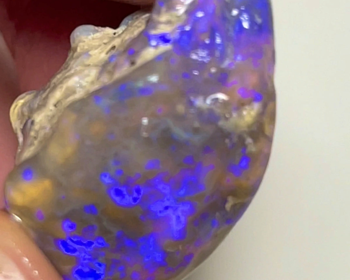 Bid-4.com Bid for Australian opal £1 No Reserve Auction Lightning Ridge 38.75cts  23.00x 22.00x 14.00mm Lot B4-A831