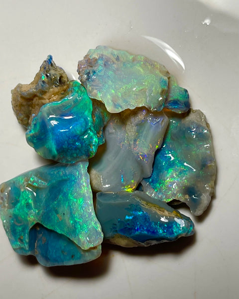 Lightning Ridge Cutters Dark Crystal Seam opal parcel 44.75cts Loaded with Bright Multicolours packed with Potential 20x20x4mm to 20x12x6mm Auctions Details to come Lot B4-A873