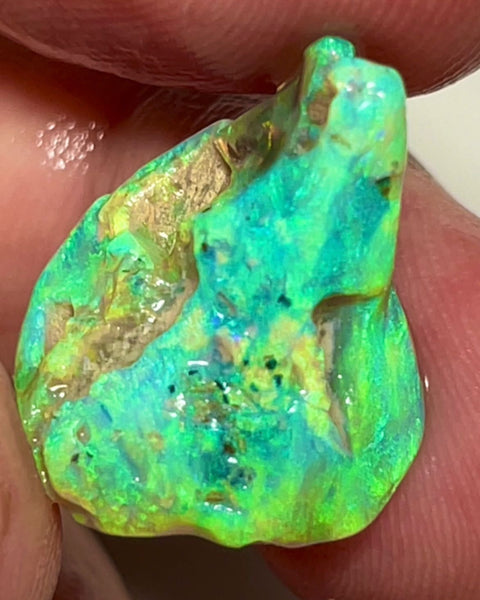 Coocoran Knobby/Fossil 12.40cts  20x17x9 mm Bid-4.com Bid for Australian opal raw/rough/rubbed/polished £1 No Reserve Auctions Details to come Lot B4-A866