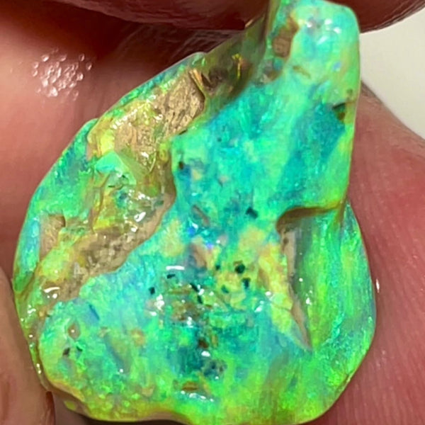Coocoran Knobby/Fossil 12.40cts  20x17x9 mm Bid-4.com Bid for Australian opal raw/rough/rubbed/polished £1 No Reserve Auctions Details to come Lot B4-A866