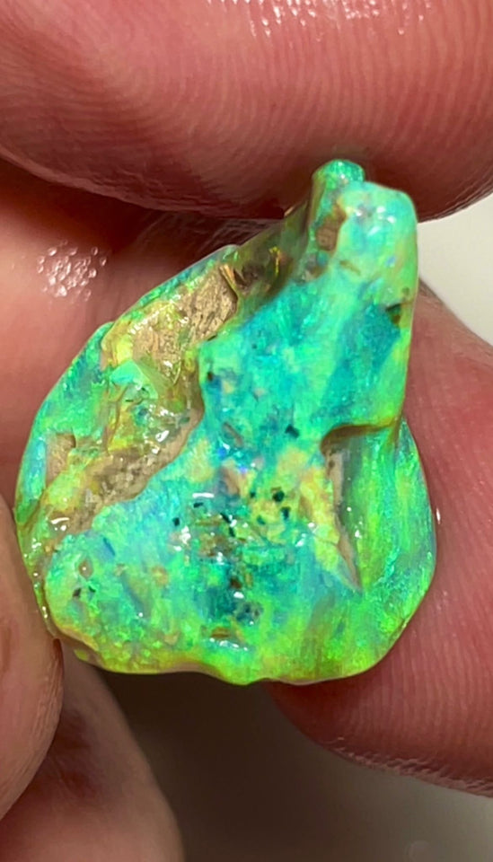 Coocoran Knobby/Fossil 12.40cts  20x17x9 mm Bid-4.com Bid for Australian opal raw/rough/rubbed/polished £1 No Reserve Auctions Details to come Lot B4-A866