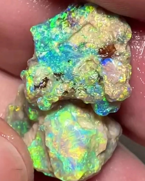 Bid-4.com Bid for Australian opal £1 No Reserve Auction Lighting Ridge 18.75cts 17x14x8 & 17x12x6 mm Lot B4-A822