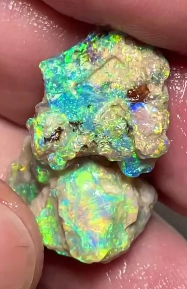 Bid-4.com Bid for Australian opal £1 No Reserve Auction Lighting Ridge 18.75cts 17x14x8 & 17x12x6 mm Lot B4-A822