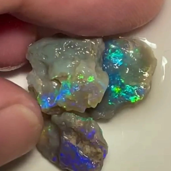 Lightning Ridge 17.75cts 15x12x8 to 14x14x4 mm Bid-4.com Bid for Australian opal raw/rough/rubbed/polished £1 No Reserve Auctions Details to come Lot B4-A855