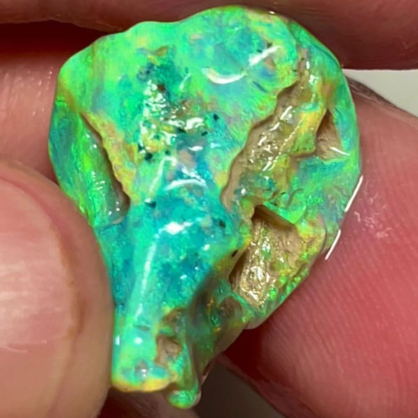 Coocoran Knobby/Fossil 12.40cts  20x17x9 mm Bid-4.com Bid for Australian opal raw/rough/rubbed/polished £1 No Reserve Auctions Details to come Lot B4-A866