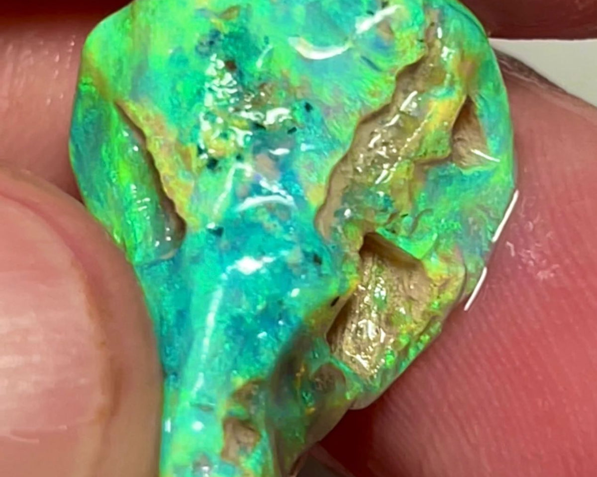 Coocoran Knobby/Fossil 12.40cts  20x17x9 mm Bid-4.com Bid for Australian opal raw/rough/rubbed/polished £1 No Reserve Auctions Details to come Lot B4-A866