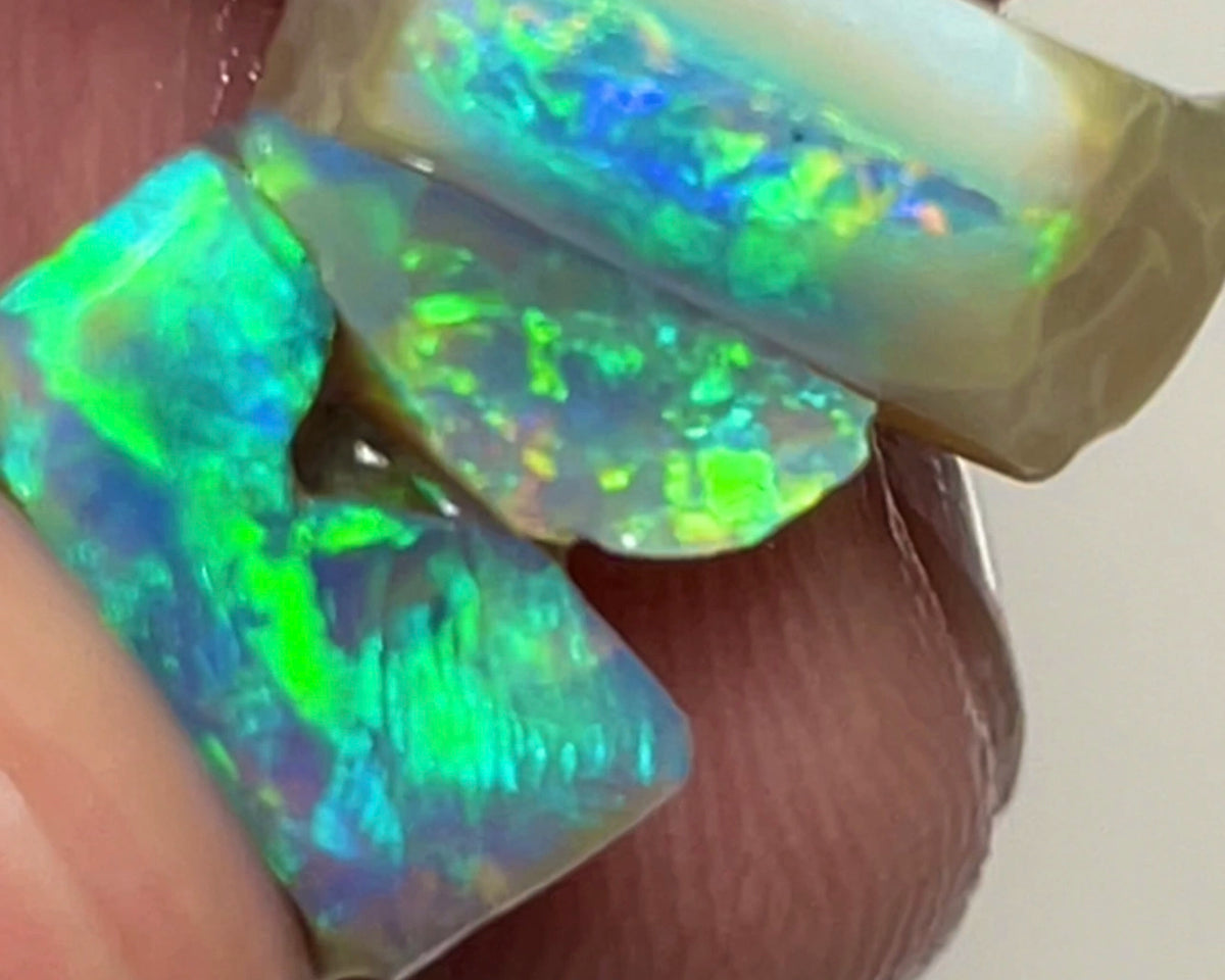 Lightning Ridge Small Bright & Vibrant 8.75cts Rough opal to cut 14x8x5mm to 9x8x3mm  Lot B4-A120