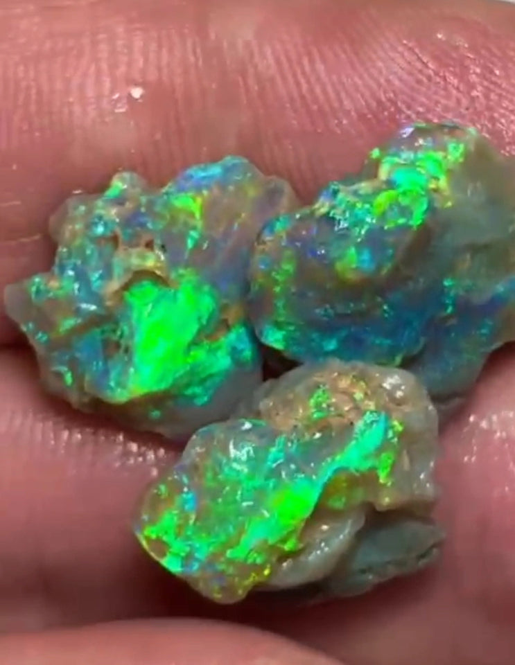 Lightning Ridge 17.75cts 15x12x8 to 14x14x4 mm Bid-4.com Bid for Australian opal raw/rough/rubbed/polished £1 No Reserve Auctions Details to come Lot B4-A855