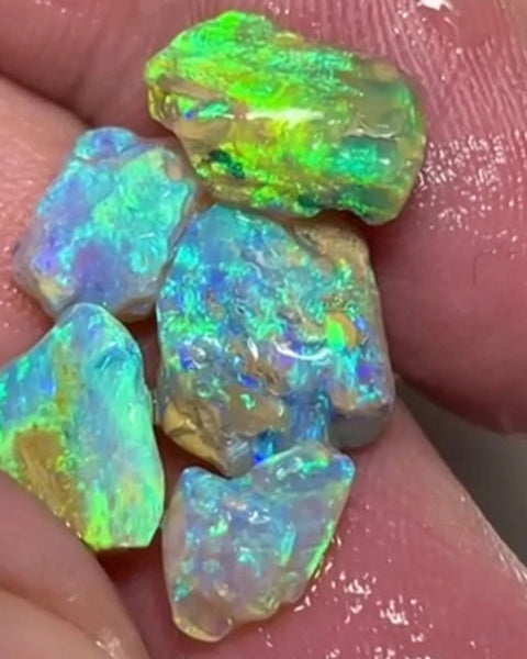 Lightning Ridge 12.75cts 15x10x6 to 13x7x4 mm Bid-4.com Bid for Australian opal raw/rough/rubbed/polished £1 No Reserve Auctions Details to come Lot B4-A859