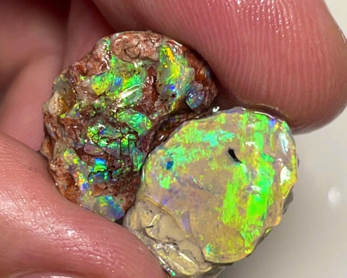 Lightning Ridge Gorgeous Knobby formation pair 17.25cts Rough opal Stunning Bright colours 20x10x9mm & 20x12x4mm    Lot B4-A119