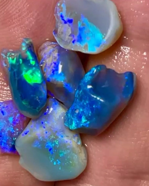 Lightning Ridge 16.75cts 13x10x5 to 9x8x3 mm  Bid-4.com Bid for Australian opal raw/rough/rubbed/polished £1 No Reserve Auctions Details to come Lot B4-A861