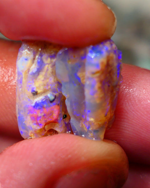 Pair of Lightning Ridge Crystal opalised Wood fossils 8.50cts Blue colours 17x10x5mm & 16x9x5mm  Lot B4-A284