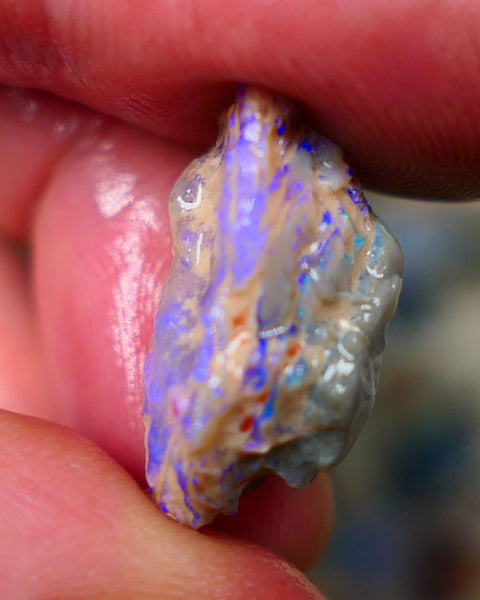 Lightning Ridge Grey base knobby opal formation rough 11.00cts Lots of blues fires to carve/cut 22x11x10mm  Lot B4-A281
