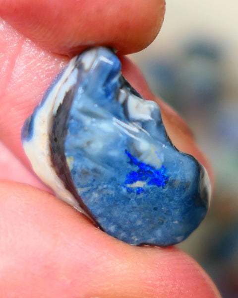 Lightning Ridge Black Seam opal rough 13.00cts Bright Blues colours to chase & Explore 22x13x7mm   Lot B4-A280