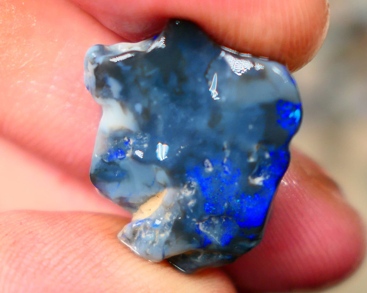 Lightning Ridge Blue on Black knobby opal rough to cut 13.50cts Lovely Royal blues 21x17x5mm  B4-A168