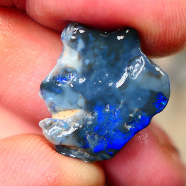 Lightning Ridge Blue on Black knobby opal rough to cut 13.50cts Lovely Royal blues 21x17x5mm  B4-A168