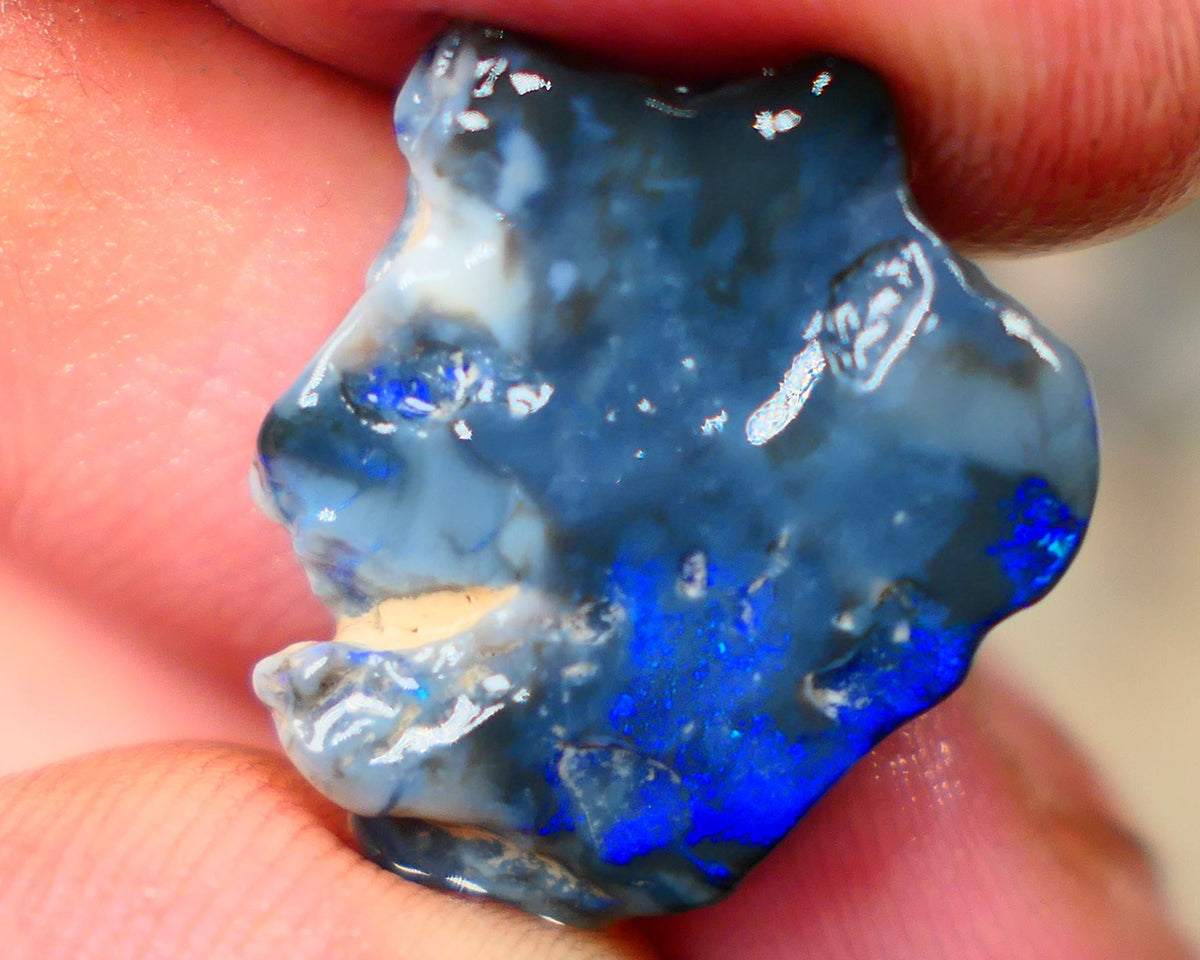 Lightning Ridge Blue on Black knobby opal rough to cut 13.50cts Lovely Royal blues 21x17x5mm  B4-A168