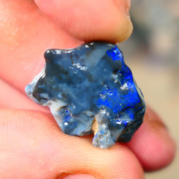 Lightning Ridge Blue on Black knobby opal rough to cut 13.50cts Lovely Royal blues 21x17x5mm  B4-A168