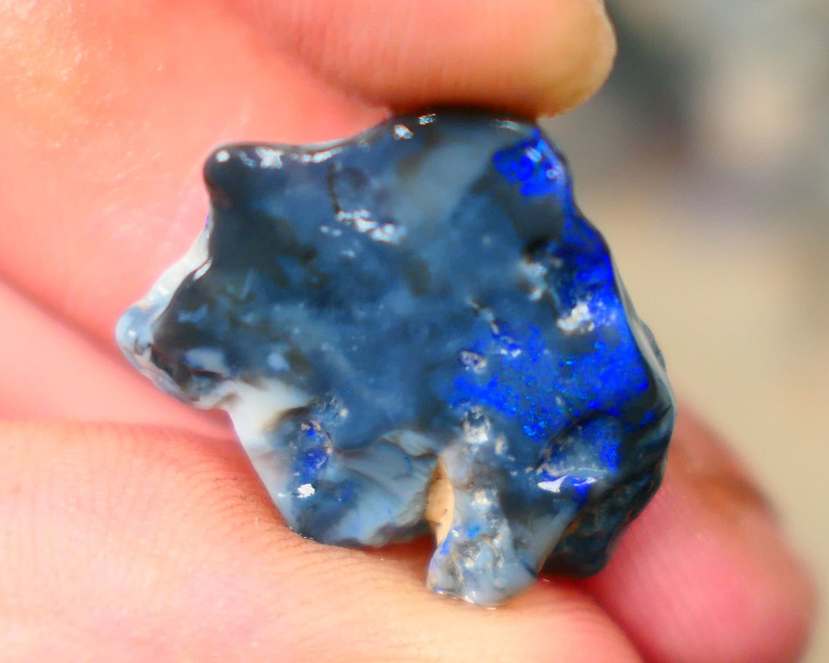 Lightning Ridge Blue on Black knobby opal rough to cut 13.50cts Lovely Royal blues 21x17x5mm  B4-A168