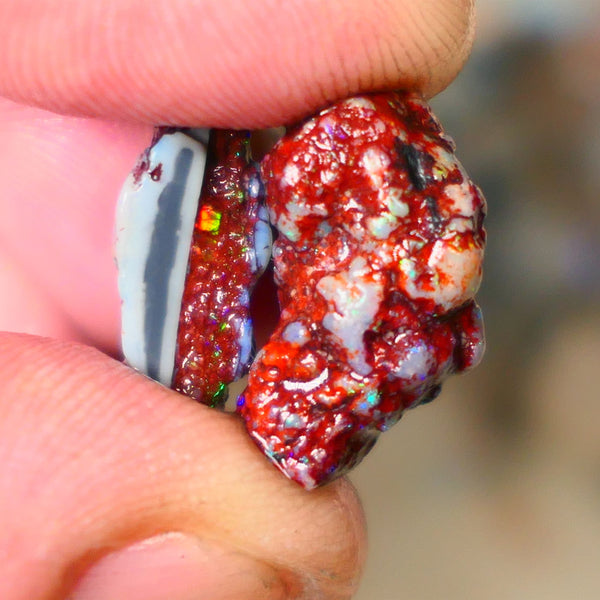 Lightning Ridge  Pair of opal formation rough 13.00cts Colours to explore or collect 19x12x6mm & 17x12x7mm  B4-A165