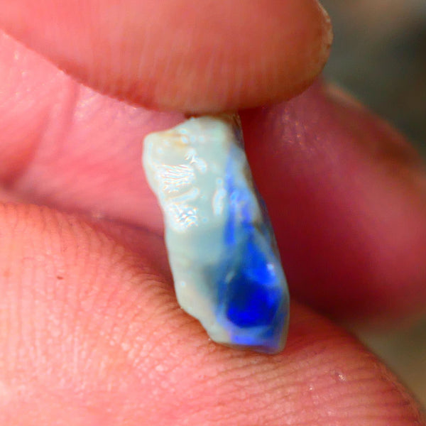 Lightning Ridge Dark Base knobby opal rough 4.75cts Bright Blue colours to gamble 12x12x5mm  B4-A164