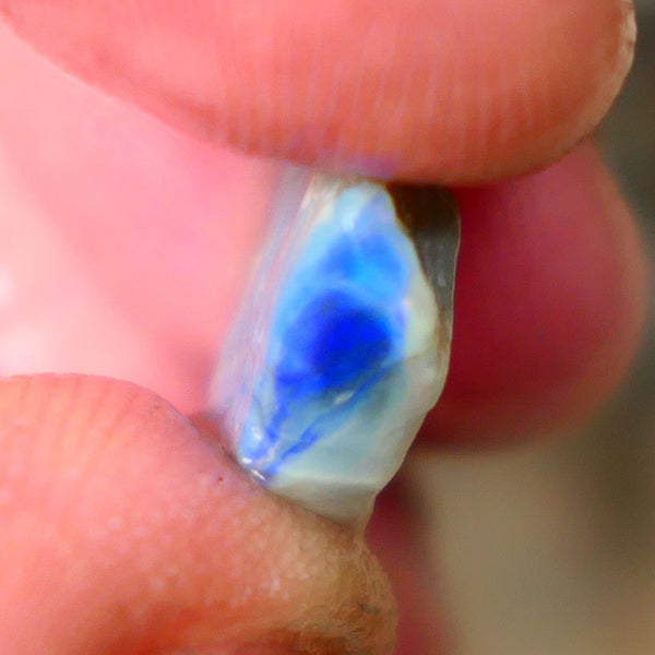 Lightning Ridge Dark Base knobby opal rough 4.75cts Bright Blue colours to gamble 12x12x5mm  B4-A164