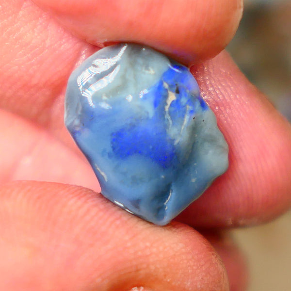 Lightning Ridge Dark base knobby opal rough 6.80cts Band of Blue fires to expose 16x12x6mm  B4-A162